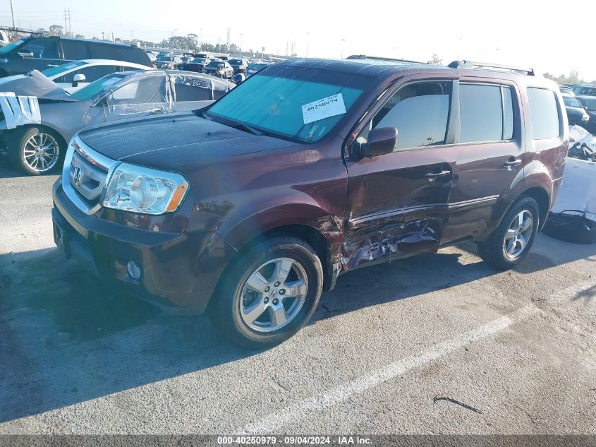 2010 Honda Pilot Ex-L VIN: 5FNYF3H69AB012145 Lot: 40250979