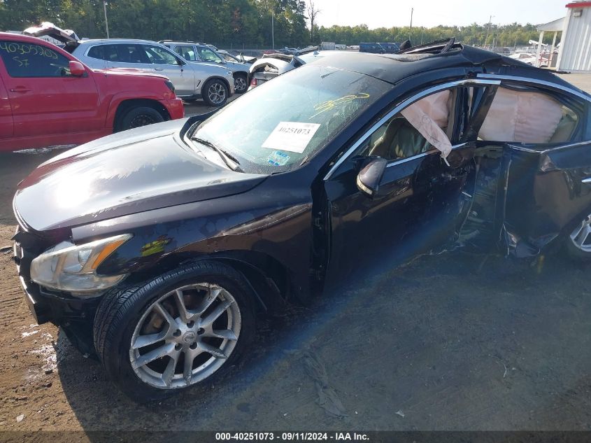 2010 Nissan Maxima S/Sv VIN: 1N4AA5AP8AC810508 Lot: 40251073