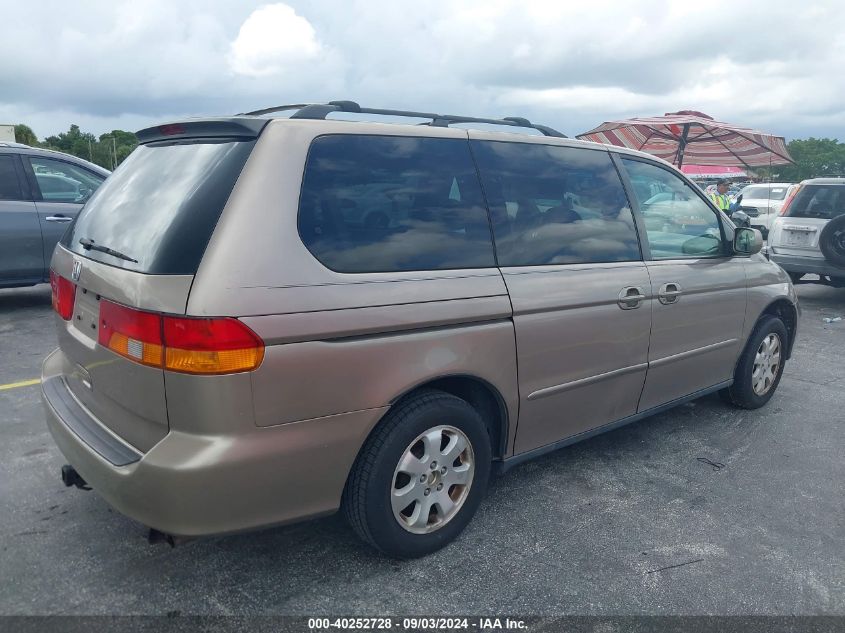 2004 Honda Odyssey Ex-L VIN: 5FNRL18044B067863 Lot: 40252728