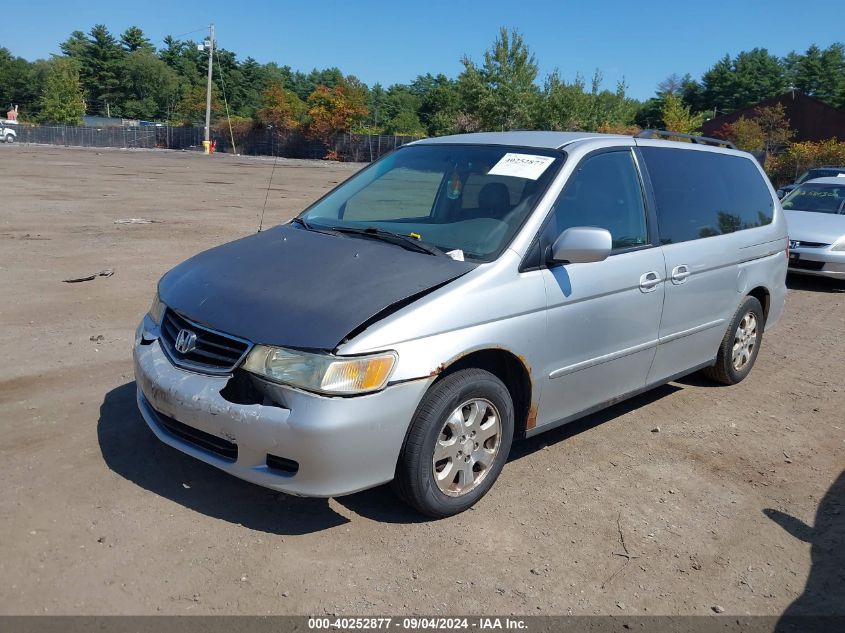 2004 Honda Odyssey Ex-L VIN: 5FNRL18064B148167 Lot: 40252877