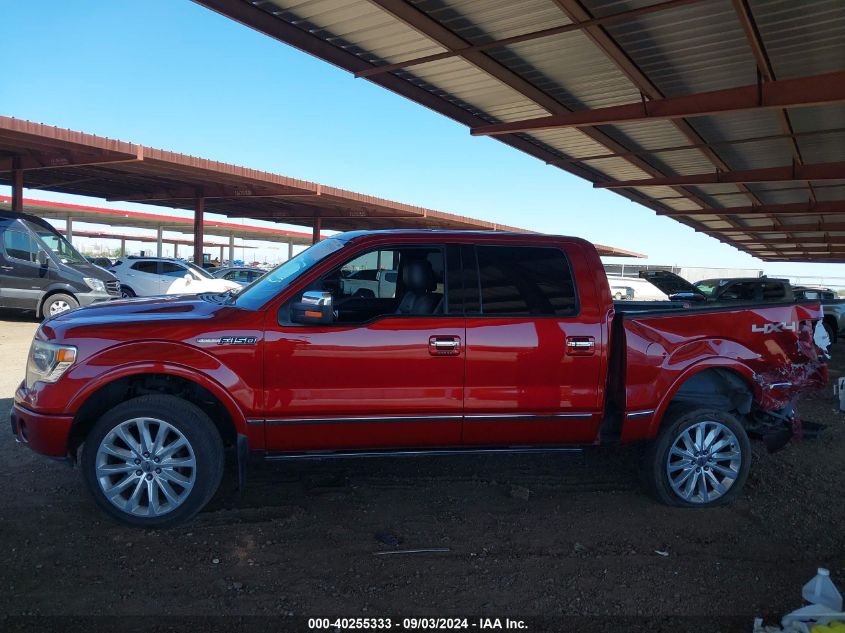 2013 FORD F-150 PLATINUM - 1FTFW1EF4DFC41347