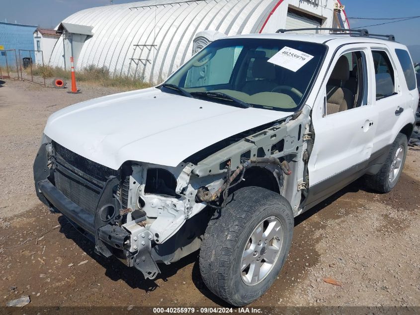 2005 Ford Escape Xlt VIN: 1FMYU93195KA04877 Lot: 40255979