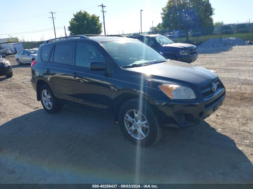 2011 Toyota Rav4 VIN: 2T3BF4DV2BW123107 Lot: 40256437