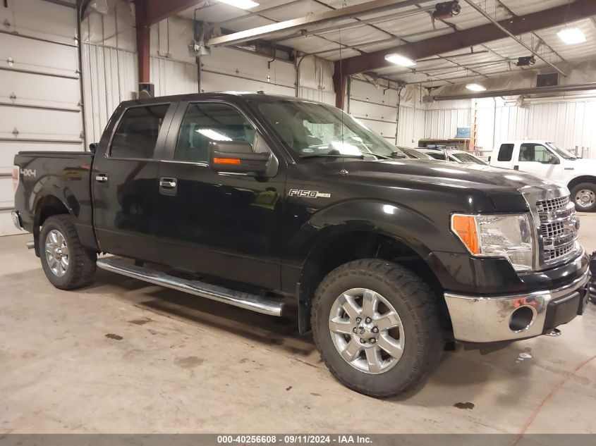 2013 Ford F150 Supercrew VIN: 1FTFW1EF2DKF40911 Lot: 40256608