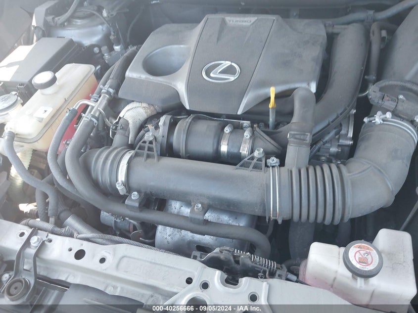 2020 LEXUS NX 300 - JTJDARDZ8L2226126