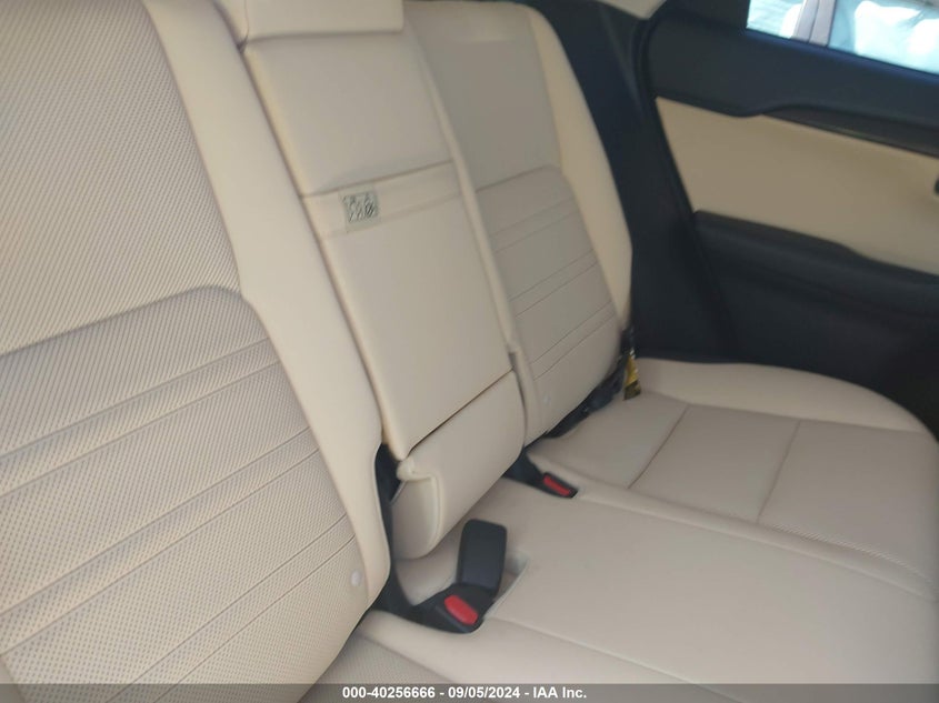 2020 LEXUS NX 300 - JTJDARDZ8L2226126