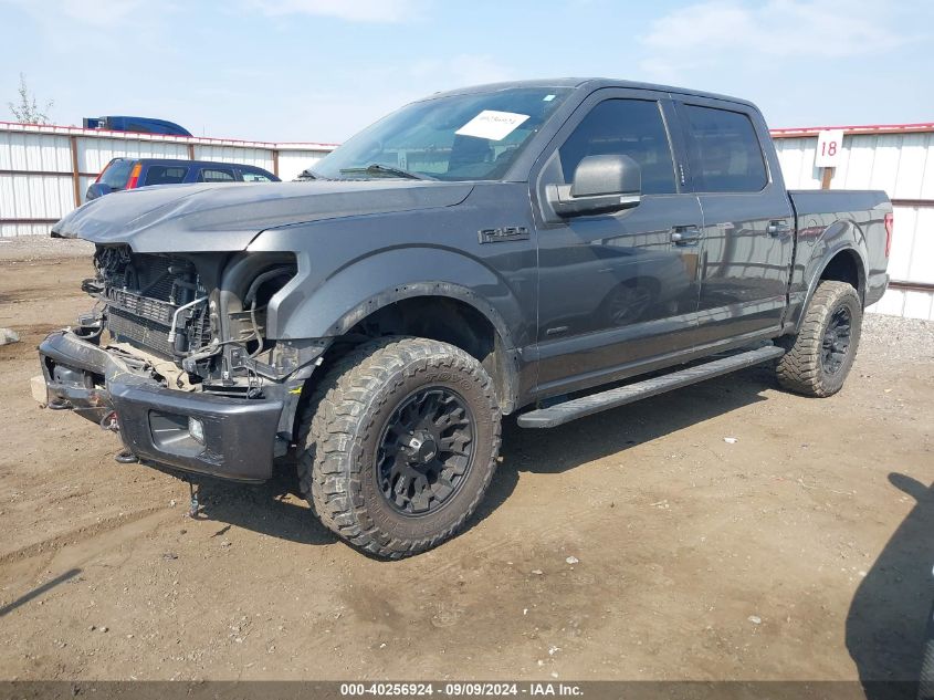 2015 FORD F-150 XLT - 1FTEW1EP0FKE75418