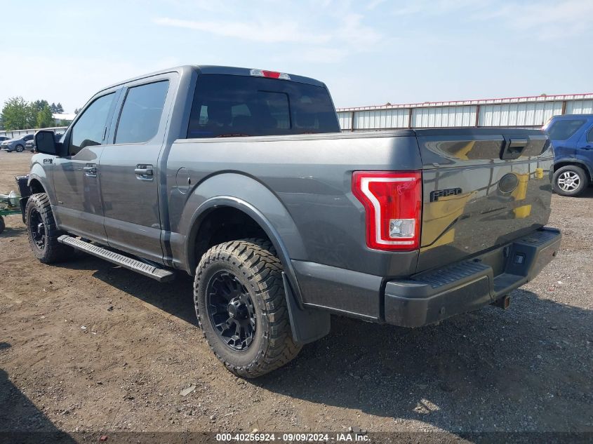 2015 FORD F-150 XLT - 1FTEW1EP0FKE75418