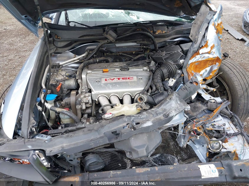 2004 Acura Tsx VIN: JH4CL96904C031542 Lot: 40256986