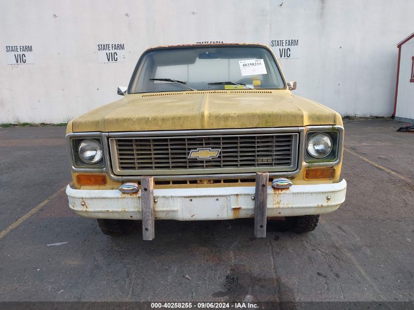 1973 Chevrolet C20 VIN: CCT243S116717 Lot: 40258255