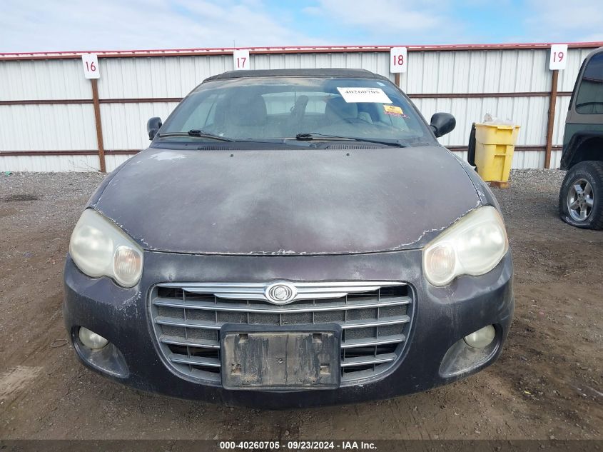 2004 Chrysler Sebring Limited VIN: 1C3EL65R94N162441 Lot: 40260705