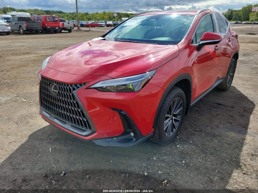 2T2AKCEZ2PC015893 2023 LEXUS NX - Image 2