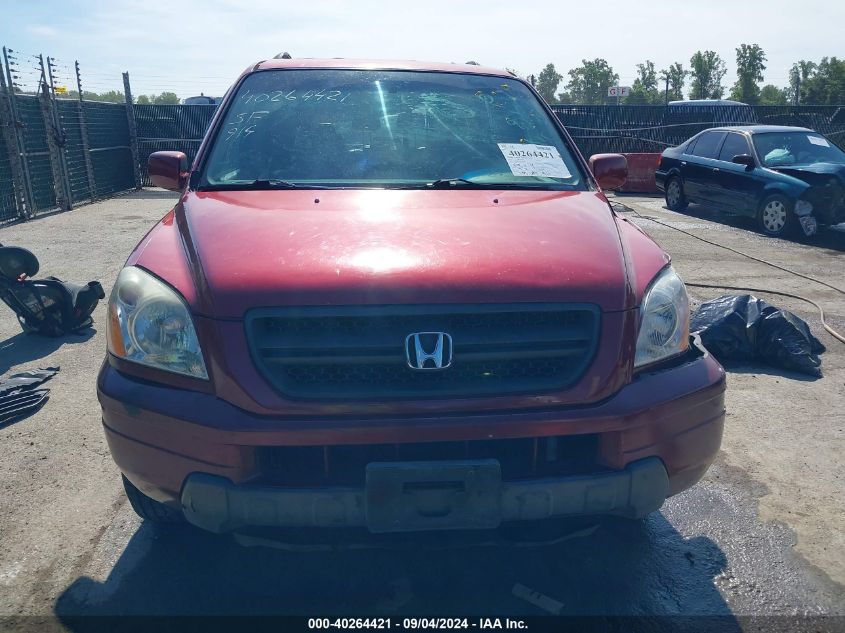 2005 Honda Pilot Ex-L VIN: 5FNYF185X5B003603 Lot: 40264421