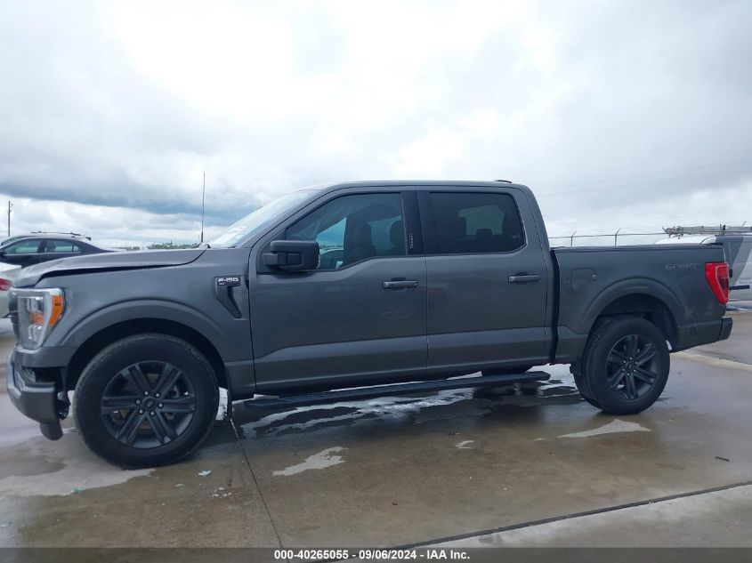 2023 Ford F-150 Xlt VIN: 1FTEW1C53PKD58824 Lot: 40265055