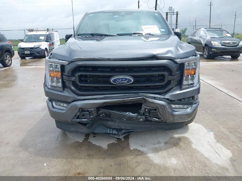 2023 FORD F-150 XLT - 1FTEW1C53PKD58824