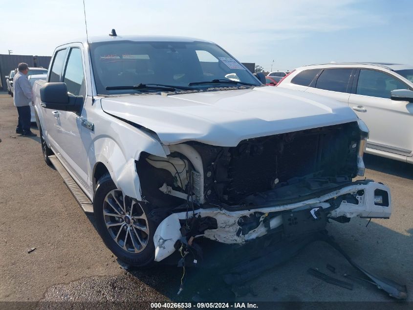 2019 Ford F-150 Supercrew VIN: 1FTEW1CP4KKC69807 Lot: 40266538