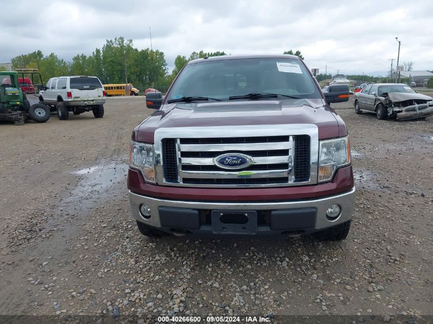 2010 Ford F-150 Fx4/Harley-Davidson/King Ranch/Lariat/Platinum/Xl/Xlt VIN: 1FTFW1EV9AFA82036 Lot: 40266600