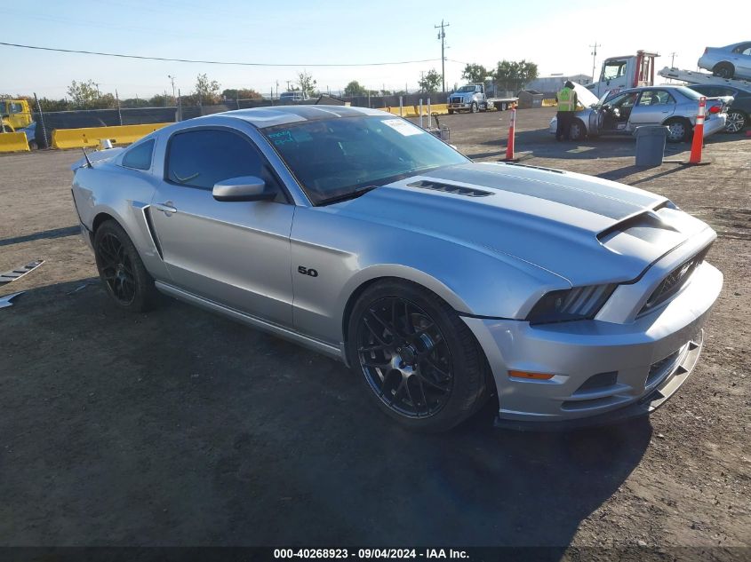 2013 Ford Mustang Gt VIN: 1ZVBP8CFXD5251536 Lot: 40268923