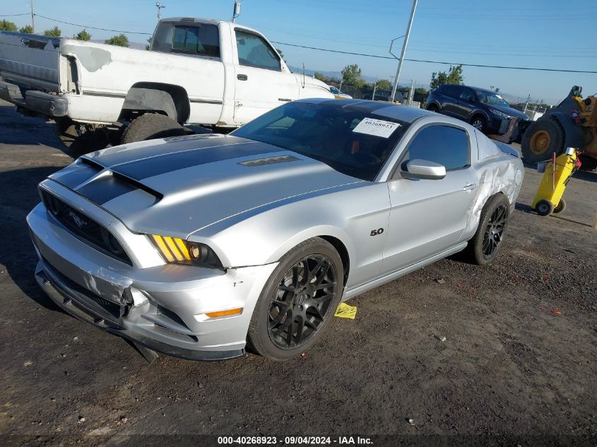 2013 Ford Mustang Gt VIN: 1ZVBP8CFXD5251536 Lot: 40268923