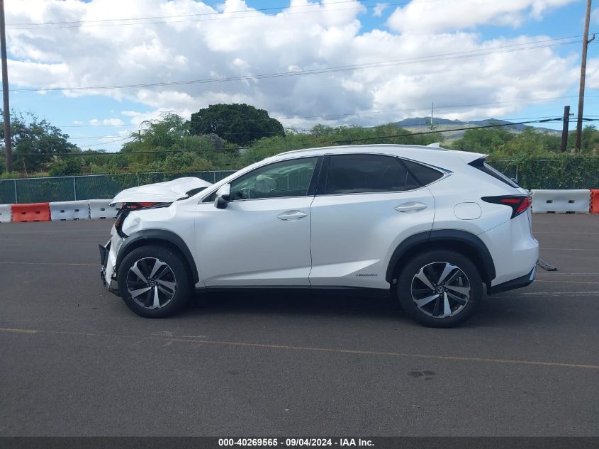 2020 Lexus Nx 300H VIN: JTJDJRDZ9L5009991 Lot: 40269565