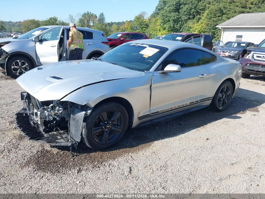 1FA6P8TH6K5172504 2019 FORD MUSTANG - Image 2