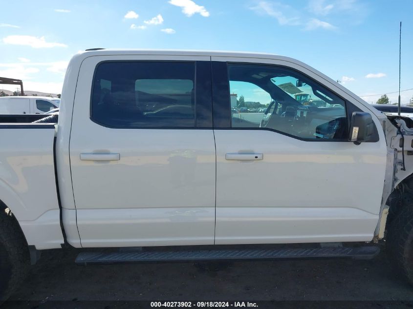 2021 FORD F-150 XLT - 1FTFW1E59MFC51265