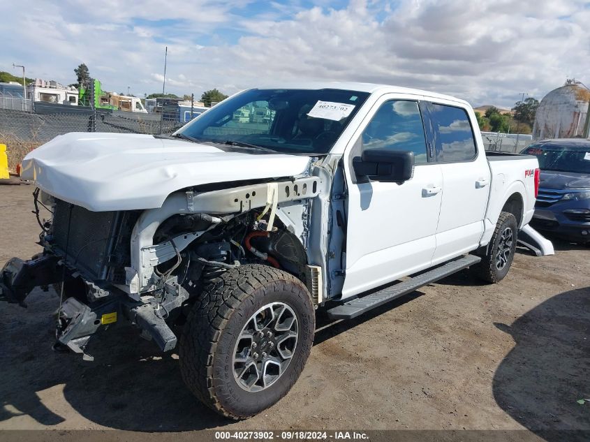 2021 FORD F-150 XLT - 1FTFW1E59MFC51265