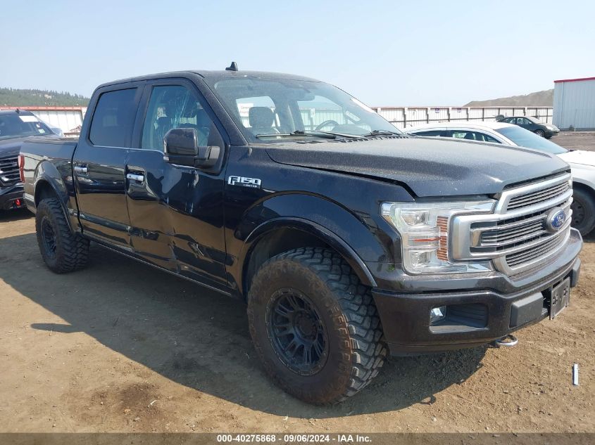 2019 FORD F-150 LIMITED - 1FTEW1EG7KFA81059