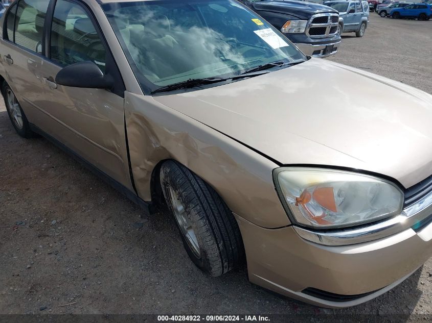 2005 Chevrolet Malibu Ls VIN: 1G1ZT52845F239613 Lot: 40284922