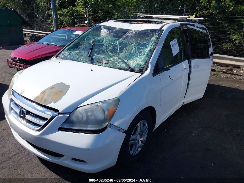 2007 Honda Odyssey Ex-L VIN: 5FNRL387X7B444015 Lot: 40285246