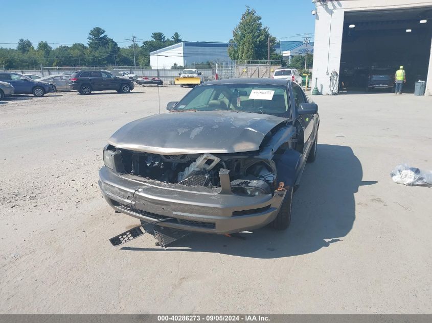 2005 Ford Mustang V6 Deluxe/V6 Premium VIN: 1ZVFT80N655202196 Lot: 40286273