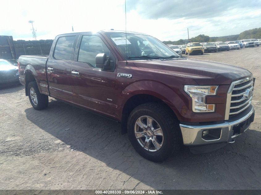 1FTFW1EG7FFB37088 2015 FORD F-150 - Image 1