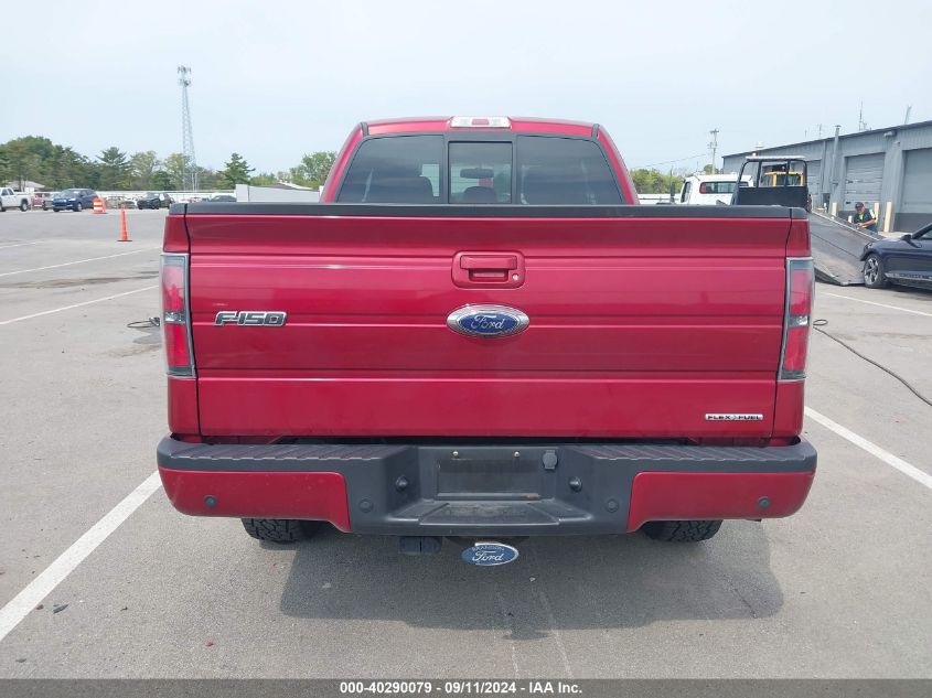 2013 Ford F-150 Fx4 VIN: 1FTFX1EF9DFA58216 Lot: 40290079