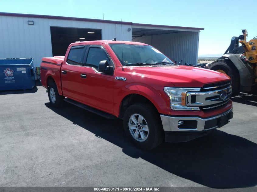 2019 FORD F-150 XLT - 1FTEW1E52KKD29563