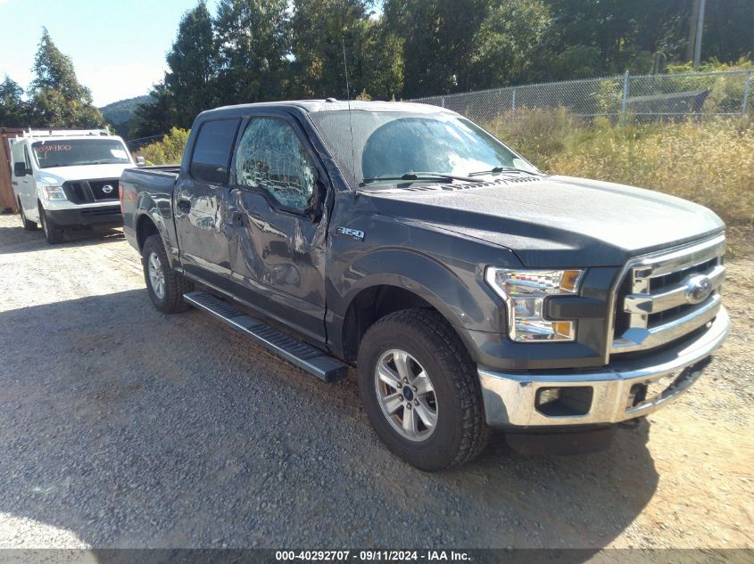 2016 Ford F-150 Xlt VIN: 1FTEW1EF4GFB55438 Lot: 40292707