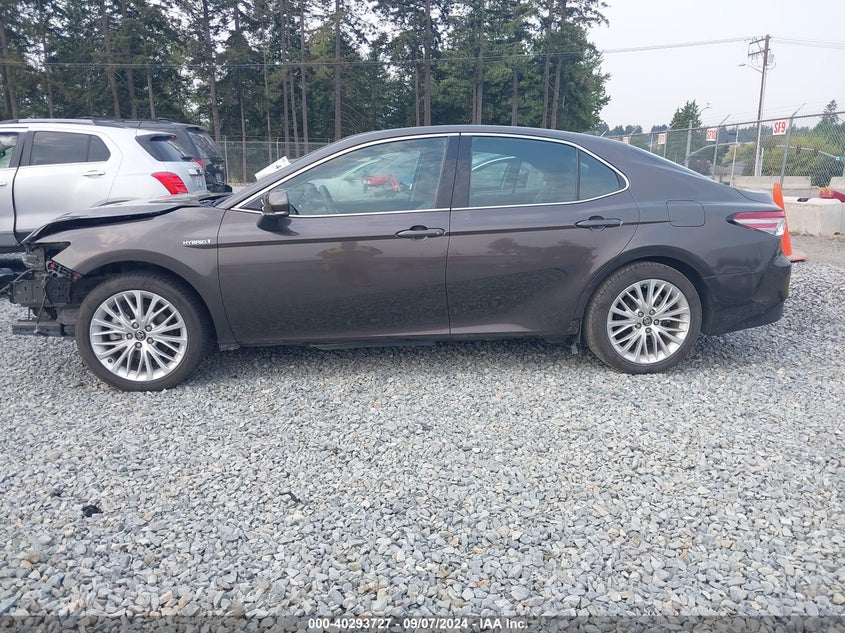 2020 TOYOTA CAMRY XLE HYBRID - 4T1F31AKXLU531500