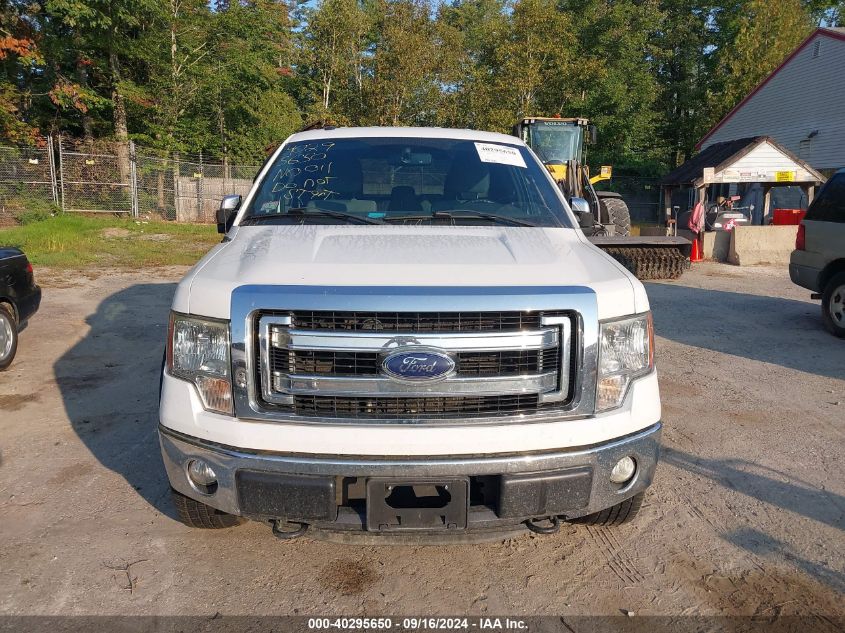 2013 Ford F-150 Xlt VIN: 1FTFX1EF6DFB87305 Lot: 40295650