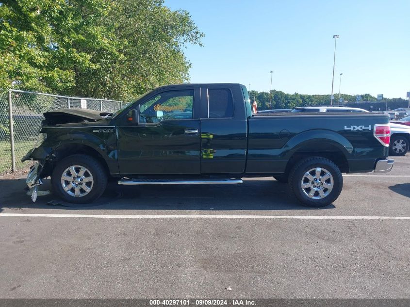 2013 Ford F-150 Xlt VIN: 1FTFX1EFXDFC33301 Lot: 40297101