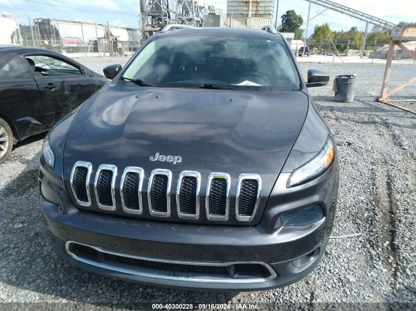 2014 Jeep Cherokee Limited VIN: 1C4PJMDB6EW290134 Lot: 40300228