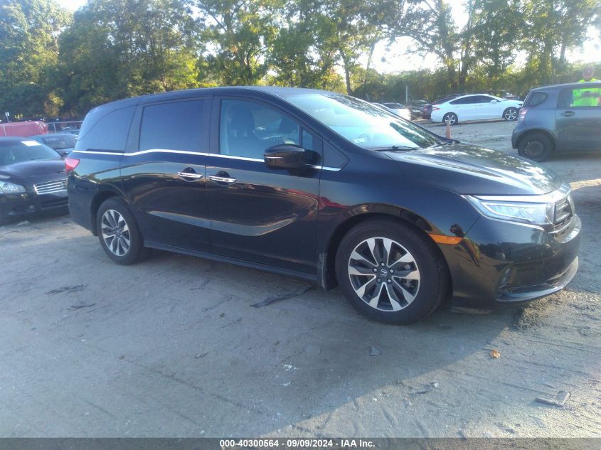 2023 Honda Odyssey Ex-L VIN: 5FNRL6H60PB068577 Lot: 40300564