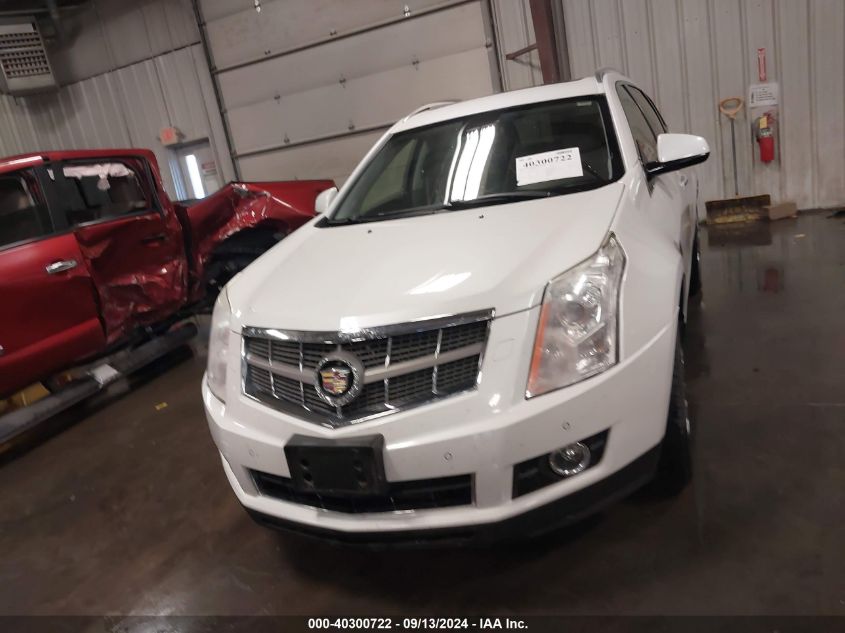 2010 Cadillac Srx Performance Collection VIN: 3GYFNEEY5AS612173 Lot: 40300722