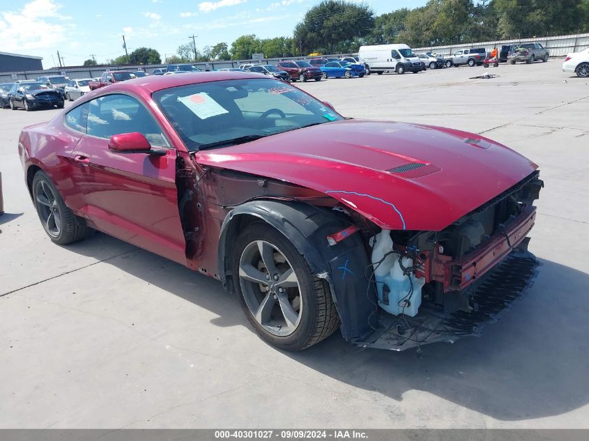 1FA6P8TH1K5174922 2019 FORD MUSTANG - Image 1