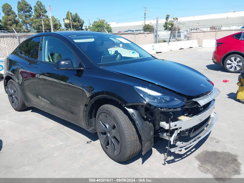 2024 TESLA MODEL Y  (VIN: 7SAYGDED6RF125376)