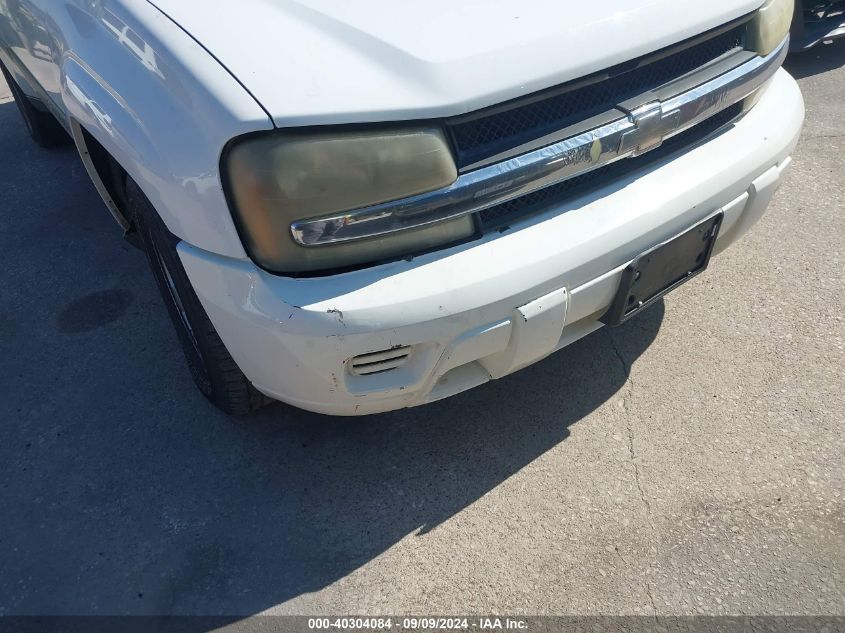 2003 Chevrolet Trailblazer Ls VIN: 1GNDS13S432161093 Lot: 40304084