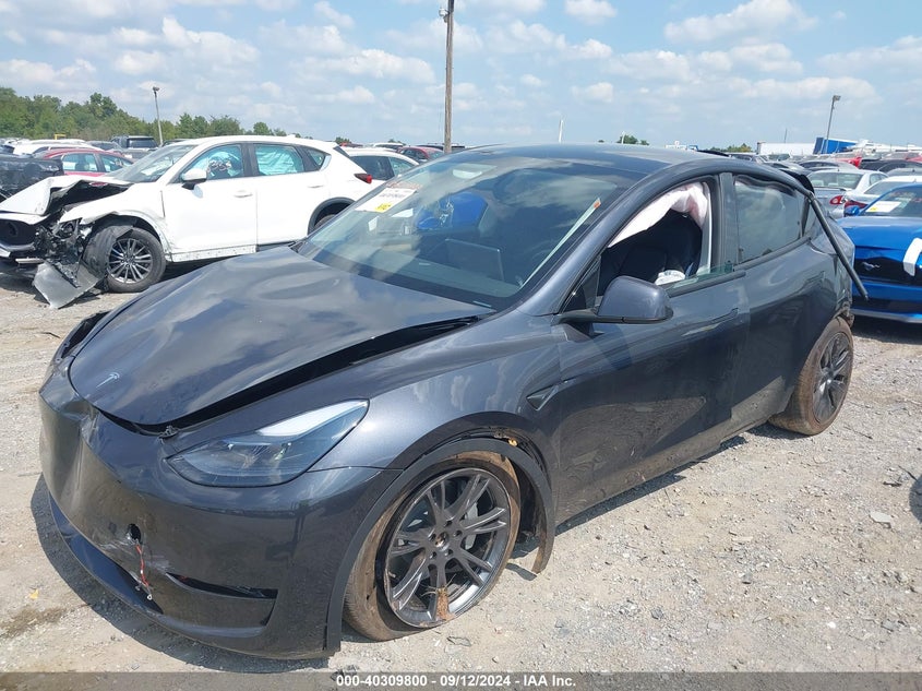 2024 TESLA MODEL Y(VIN: 7SAYGDEE5RF153694