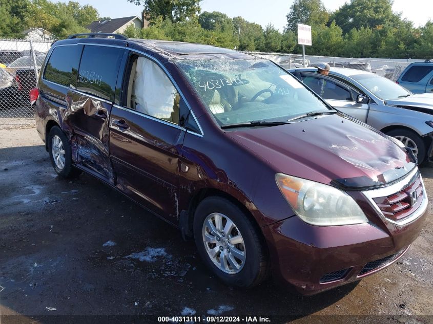 2008 Honda Odyssey Ex-L VIN: 5FNRL38788B009804 Lot: 40313111