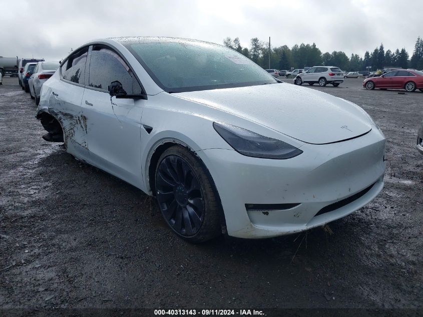 5YJYGDEF6MF266875 2021 TESLA MODEL Y - Image 1