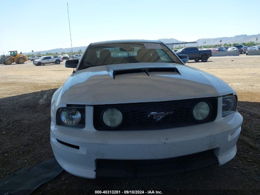 2007 Ford Mustang Gt VIN: 1ZVHT82H975255428 Lot: 40313281