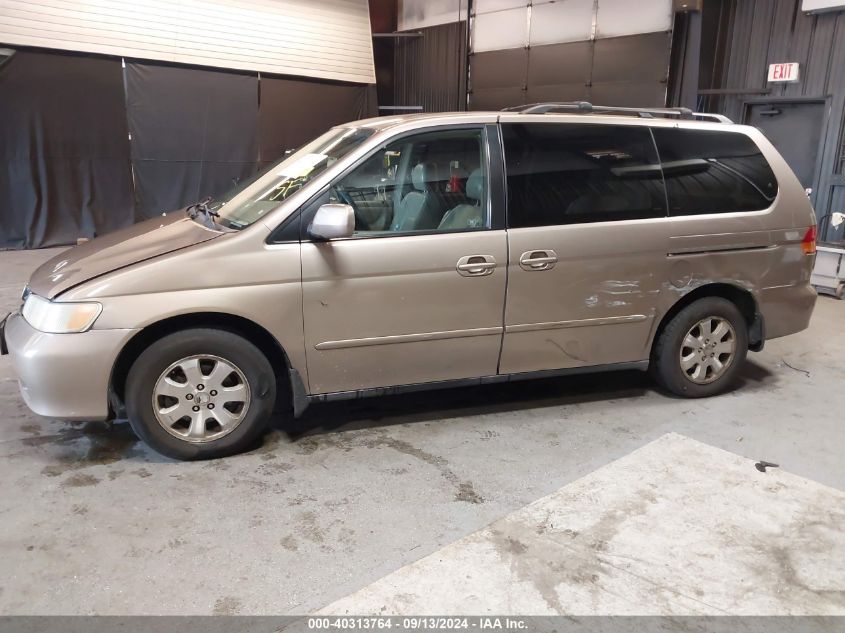 2004 Honda Odyssey Ex-L VIN: 5FNRL18944B045988 Lot: 40313764