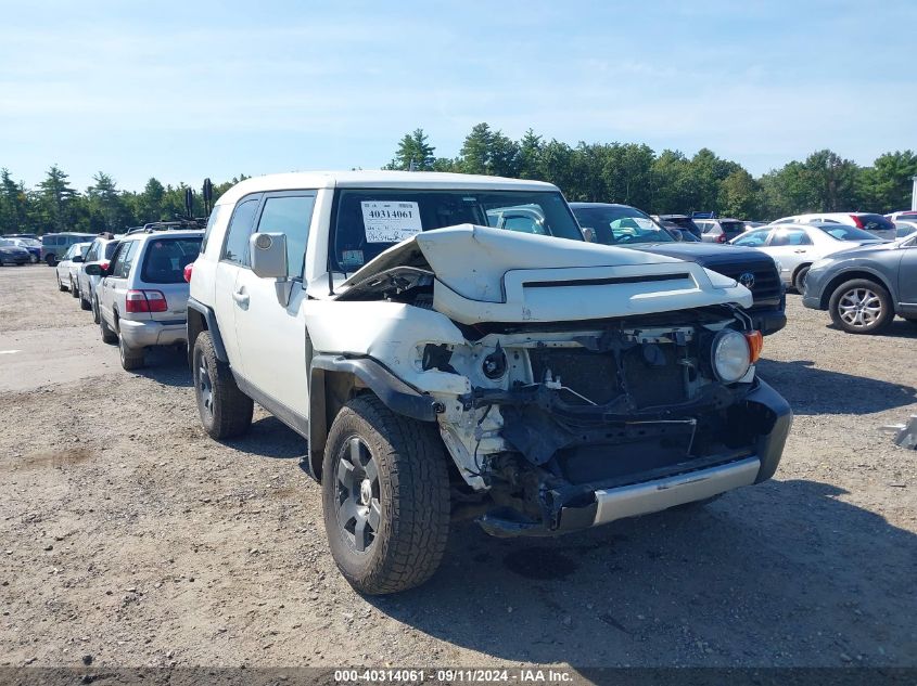 2010 Toyota Fj Cruiser VIN: JTEBU4BF6AK098359 Lot: 40314061